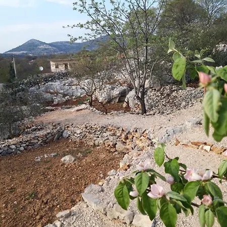 Sellina Βίλα Marina